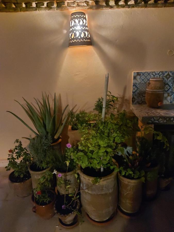 Riad Dar Karam 마라케시 외부 사진